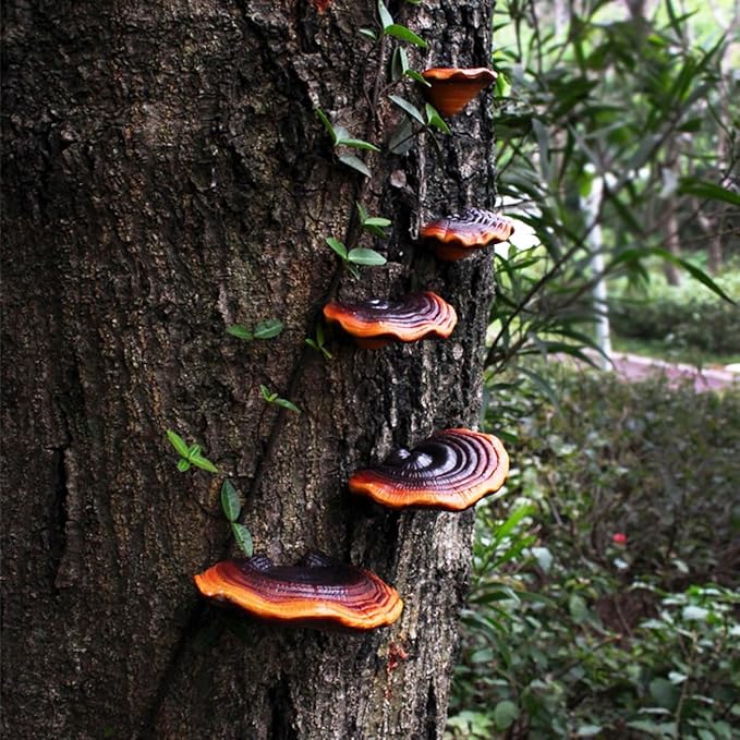 5 Pcs Garden Mushroom Statue Tree Hugger, Resin Realistic Glossy Ganoderma Figurines Tree Sculpture Whimsical Fairy Garden Decor, Outdoor Patio Yard Lawn Ornaments