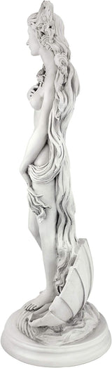 Design Toscano Birth of Venus, Roman Patroness of Love Indoor/Outdoor Garden Statue, 25 inches tall, Cast Stone Resin, Antique Stone Finish