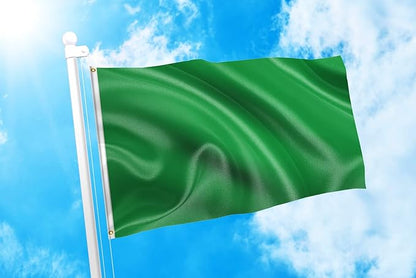 DMSE Solid Green Flag, 3x5 Flag, UV Resistant, Fade Resistant Material with Metal Grommets (3ft x 5ft), (Polyester), (Green)