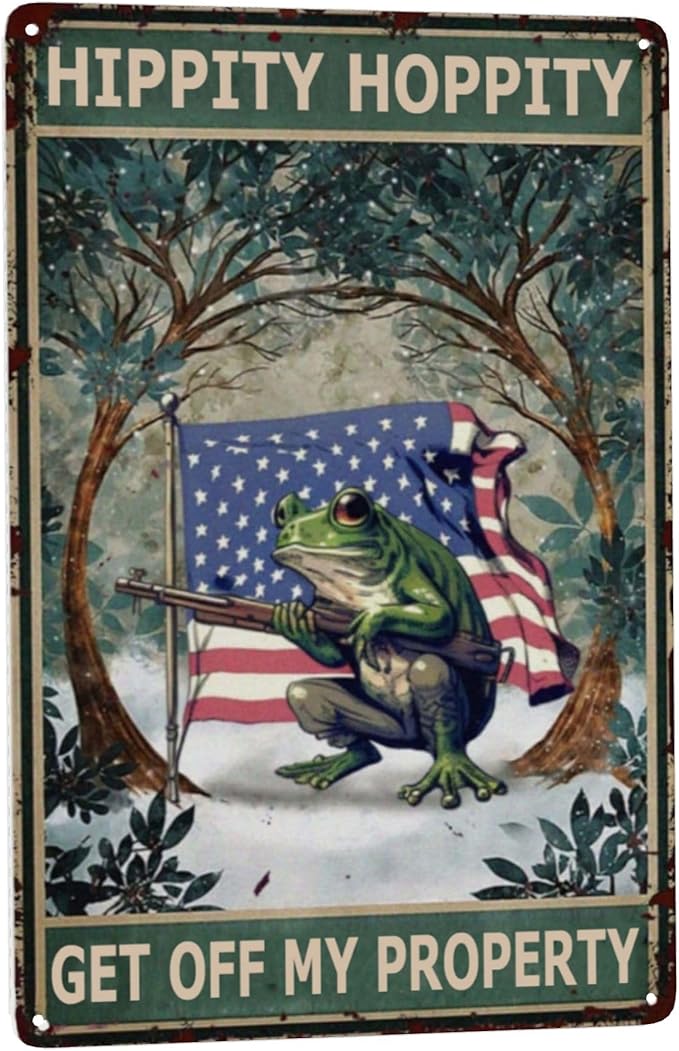 Vintage Metal Frog Door Sign - American Flag Design - Funny & Retro Room Decor - 8x12 Inch Tin Plate - for Garden, Home & Bedroom - 'Hippity Hoppity, Get Off My Property' No Trespassing Banner
