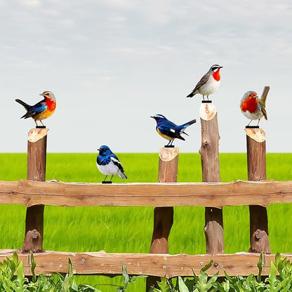 5 Pcs Vivid Bird Yard Decorations Natural Fence Decorations Outdoor Artificial Bird Color Painted 2D Sculptures for Outdoor Fences, Garden, Patio and Bird Lovers (Vivid Bird)