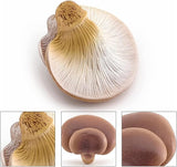 White Fake Mushrooms Small Mushroom Decor Realistic Plastic Cute Mushroom Stuff for Kids Realistic Mushroom Figurines, Mushroom Gifts for Home, Household, Garden, Yard Deco, Outdoor Statues