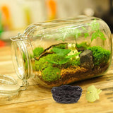 Miniature Fairy Garden Bird Nest: 10pcs Mini Resin Craft Bird Nest Landscape DIY Terrarium Bonsai Ornament