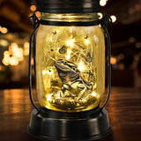Bearded Dragon Gifts for Women/Men Bearded Dragon Solar Lanterns Mom Birthday Animal Lovers Lantern Animal Memorial Lights Solar Garden Decoration for Yard, Patio,Backyard,Porch Torches, Home Decor