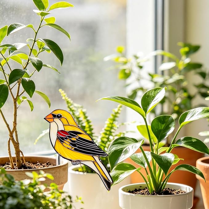 Hummingbird Gifts for Women Mom Grandma, Hanging Planter for Indoor Outdoor Garden, Bird Lover Plant Decor, Mothers Day Birthday Gifts from Daughter Son(15)