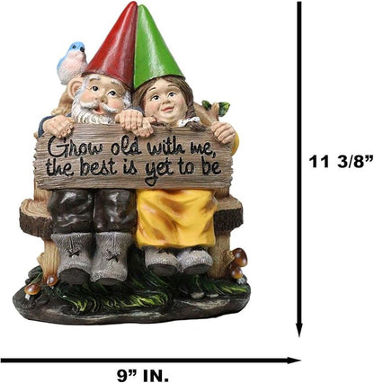 Ebros Grow Old with Me Mr and Mrs Gnome Statue 11" Tall for Patio Garden Lawn Home Decor Figurine (1)
