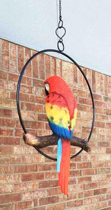 Ebros Patio Home Garden Hanging Scarlet Macaw Parrot Perching on Branch in Metal Round Ring Figurine Sculpture Nature Lovers Tropical Bird Collectors Decor 13.5" H