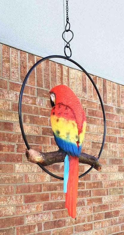 Ebros Patio Home Garden Hanging Scarlet Macaw Parrot Perching on Branch in Metal Round Ring Figurine Sculpture Nature Lovers Tropical Bird Collectors Decor 13.5" H