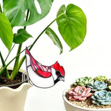 Hummingbird Gifts for Women Mom Grandma, Hanging Planter for Indoor Outdoor Garden, Bird Lover Plant Decor, Mothers Day Birthday Gifts from Daughter Son(5)
