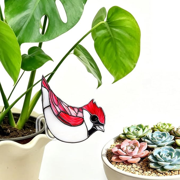 Hummingbird Gifts for Women Mom Grandma, Hanging Planter for Indoor Outdoor Garden, Bird Lover Plant Decor, Mothers Day Birthday Gifts from Daughter Son(5)