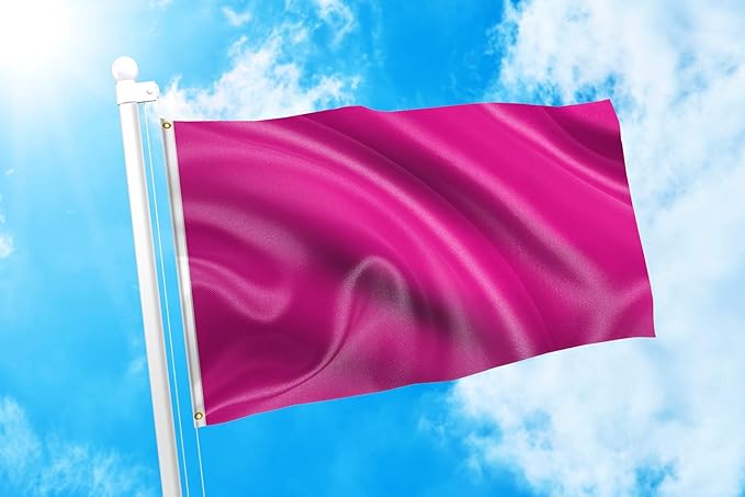 DMSE Solid Magenta Flag, 2x3 Flag, UV Resistant, Fade Resistant Material with Metal Grommets (2ft x 3ft), (Polyester), (Magenta)