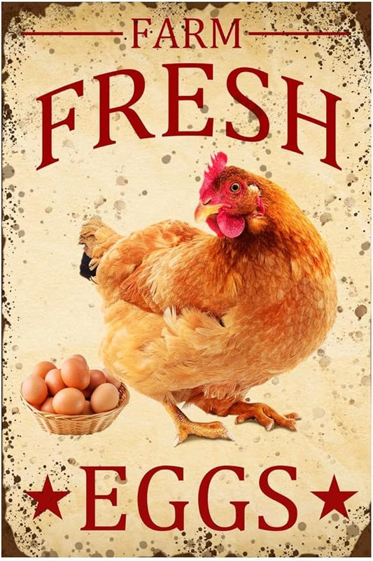 Chicken-Sign Metal-Sign Wall-Art Décor-Yard, Farm Fresh Eggs, Farm Plaque Garden Sign Outdoor Coop Décor for Home Fence 8 X 12 Inches