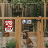 Beware of Dog Signs for Fence Funny Metal Warning Sign Yard Decor Beware of Dog The Cat Is Shady Too Tin Sign Dogs Room Decor 8x12 Inch