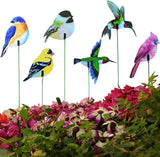 24PCS Bird Garden Stakes Decoration, 2D Flat Vibrant Bird Yard Decoration, Durable Weather Resistant Spring Garden Decorations for Crafts Outdoor Wall Patio Plant Yard Decor
