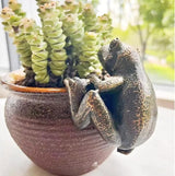 Plant Decorations for Pots,Frog Statues for Garden,Frog Garden Decor, for Family or Friends, It Can Make Your Flowerpot More Vibrant