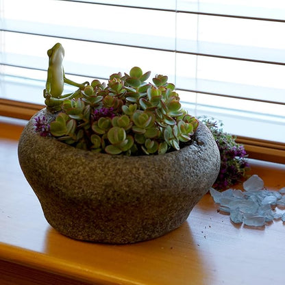 Top Collection Garden Frog Meditating On Large Functional Stone Flower Pot Planter Figurine