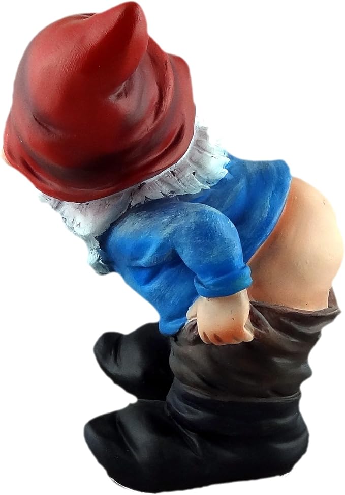 Funny Garden Gnome Statue – Cheeky Outdoor Yard Decor with Raised Finger – Resin Lawn Ornament for Patio, Garden, Desk & Man Cave Gift