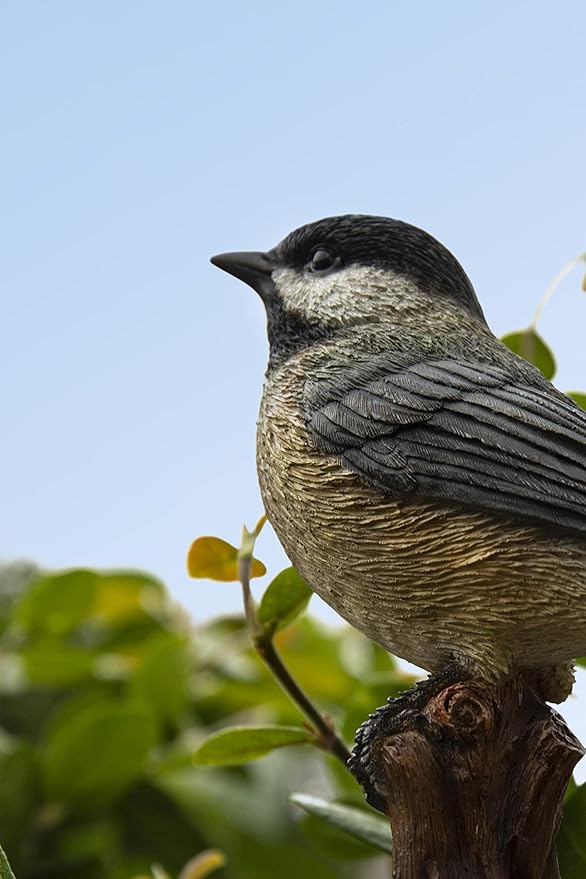 Hi-Line Gift Various Bird on Stump Statues (Chickadee), Multi Colors