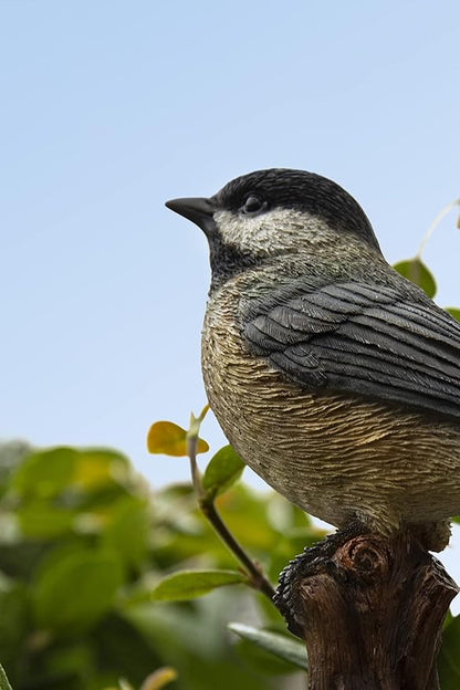 Hi-Line Gift Various Bird on Stump Statues (Chickadee), Multi Colors