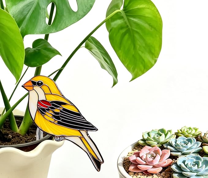 Hummingbird Gifts for Women Mom Grandma, Hanging Planter for Indoor Outdoor Garden, Bird Lover Plant Decor, Mothers Day Birthday Gifts from Daughter Son(15)