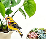 Hummingbird Gifts for Women Mom Grandma, Hanging Planter for Indoor Outdoor Garden, Bird Lover Plant Decor, Mothers Day Birthday Gifts from Daughter Son(15)