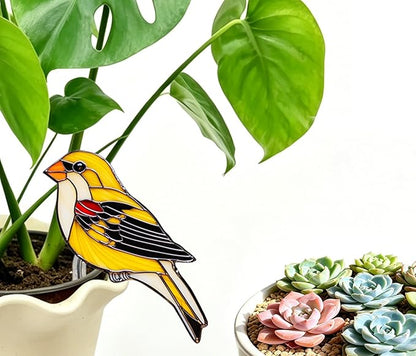 Hummingbird Gifts for Women Mom Grandma, Hanging Planter for Indoor Outdoor Garden, Bird Lover Plant Decor, Mothers Day Birthday Gifts from Daughter Son(15)