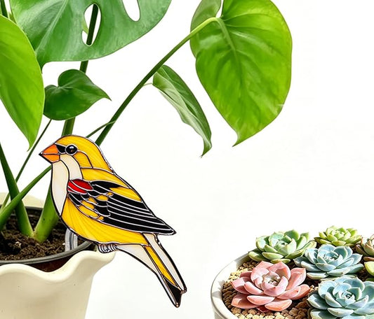 Hummingbird Gifts for Women Mom Grandma, Hanging Planter for Indoor Outdoor Garden, Bird Lover Plant Decor, Mothers Day Birthday Gifts from Daughter Son(15)