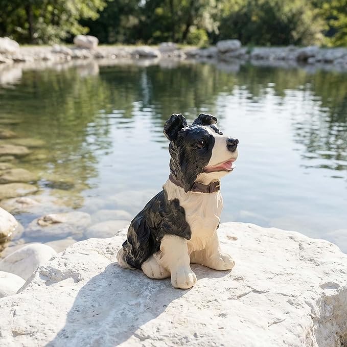 Real Border Collie Garden Statue - Resin Realistic Dog Sculpture, Pet Loss Memorial Stone, for Dog Lovers, Indoor/Outdoor Decor, Animal Figurine for Yard Ornaments