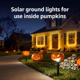 Lepro Solar Decorative Spot Lights 4 Pack, Warm White Accent Lights for Garden Ambiance, IP65 Waterproof Adjustable Landscape Lighting to Highlight Statues, Plants, Pathways & Yard Decor