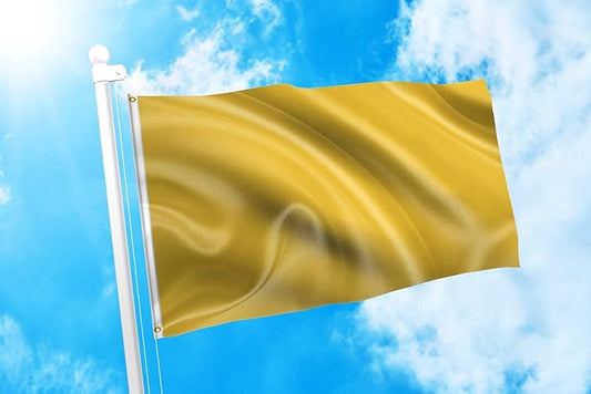 DMSE Solid Gold Flag, 3x5 Flag, UV Resistant, Fade Resistant Material with Metal Grommets (3ft x 5ft), (Nylon), (Gold)