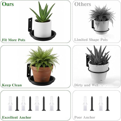6 Pack 6'' Wall Mount Plant Holder with 8 Replaceable Trays, Heavy Duty Metal Flower Pot Holder Ring, Plant Hanger for Wall Indoor, Ring Planter Bracket for Outside Outdoor Bird Feeder Bath
