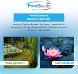 PONDSCAPE Harmony Beneficial Bacteria – Natural Clarifier Packets for Ponds, Waterfalls & Fountains – Supports Visual Clarity & Healthy Water Balance – 24 Packets