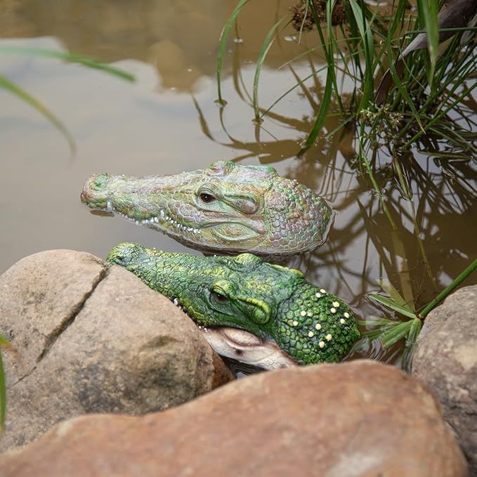 Floating Lifelike Alligator Head – A Protective Must-Have for Garden Ponds, Alligator-Shaped Decoration for Garden Ponds and Water Features, Duck Deterrent, and a Vivid Predator Replica