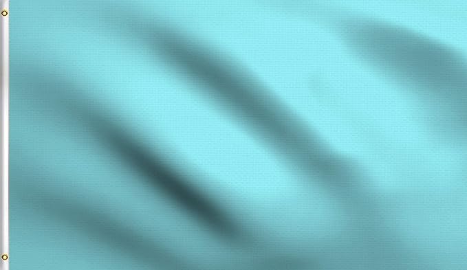 DMSE Solid Light Blue Flag, 3x5 Flag, UV Resistant, Fade Resistant Material with Metal Grommets (3ft x 5ft), (Polyester), (Light Blue)