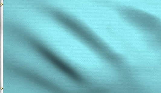 DMSE Solid Light Blue Flag, 3x5 Flag, UV Resistant, Fade Resistant Material with Metal Grommets (3ft x 5ft), (Polyester), (Light Blue)
