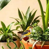 Hummingbird Gifts for Women Mom Grandma, Hanging Planter for Indoor Outdoor Garden, Bird Lover Plant Decor, Mothers Day Birthday Gifts from Daughter Son(15)