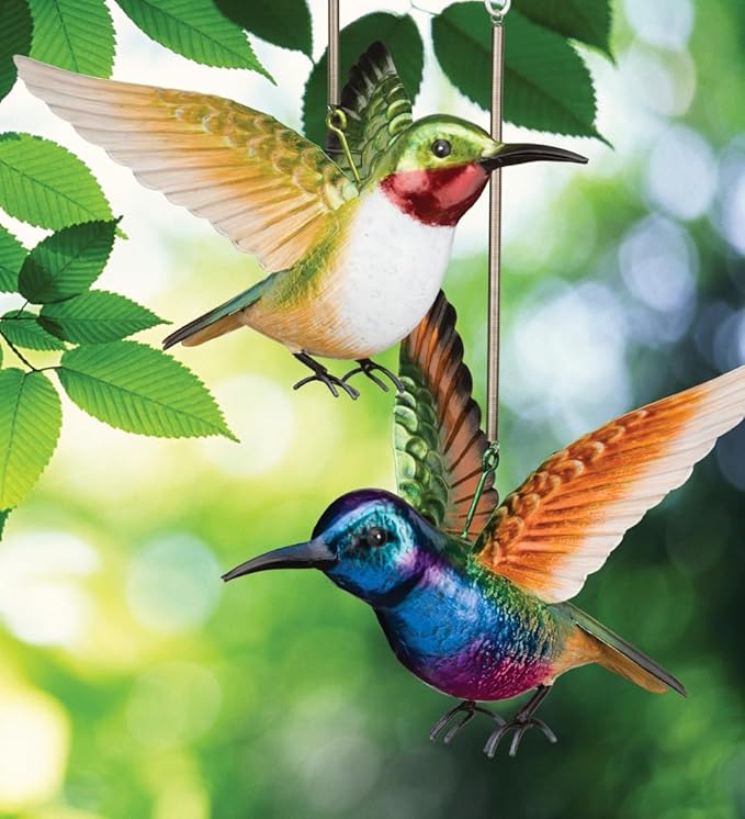 Regal Art & Gift Hummingbird Bouncie Set of 2 - Hand-Painted Metal Spring Garden Decor, Weather-Resistant Outdoor Yard Art, Bird Sculpture for Lawn & Patio - Coronet & Ruby