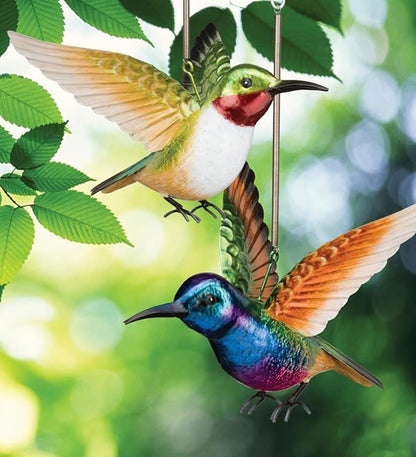 Regal Art & Gift Hummingbird Bouncie Set of 2 - Hand-Painted Metal Spring Garden Decor, Weather-Resistant Outdoor Yard Art, Bird Sculpture for Lawn & Patio - Coronet & Ruby