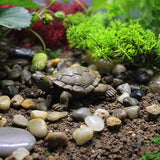 Realistic Tortoise Resin Figurine, Decorative Ornament for Garden, Pond, Patio, Courtyard, Planter and Mini Landscape, Suitable for Indoor and Outdoor Display