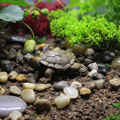 Realistic Tortoise Resin Figurine, Decorative Ornament for Garden, Pond, Patio, Courtyard, Planter and Mini Landscape, Suitable for Indoor and Outdoor Display
