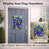Caroline's Treasures Rhode Island Violets in Watercolor Garden Flag Mailbox Flag Decorative Yard Flag Banner Outside Patio Artwork Yard Flower Beds, Garden Size, Multicolor