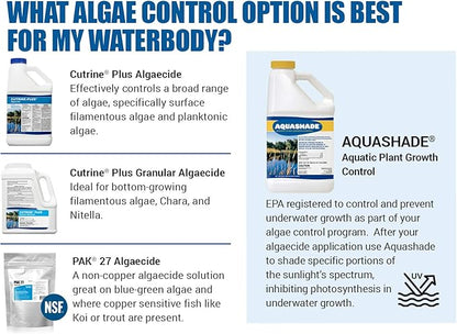 Aquashade Blue Pond Dye - 1 Gallon EPA-Approved Sunlight Blocker for Algae - Weed Suppression - Safe for Fish, Livestock and Swimming - Eco-Friendly Liquid Treatment for Water