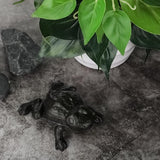 JUXYES Frog Cast Iron Key Hider - Outdoor Small Garden Statue & Indoor Decoration Box for Key, Jewelry & Trinkets