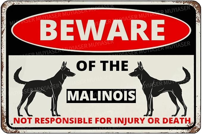 Beware Of The Dog Malinois Sign Aluminum Metal Tin Signs Outdoor Yard Sign Warning Sign For Fence Yard Home Kitchen Farm Garden Wall Decor 8x12 Inch