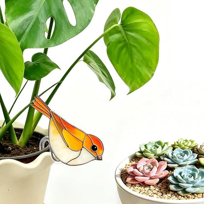 Hummingbird Gifts for Women Mom Grandma, Hanging Planter for Indoor Outdoor Garden, Bird Lover Plant Decor, Mothers Day Birthday Gifts from Daughter Son(2)