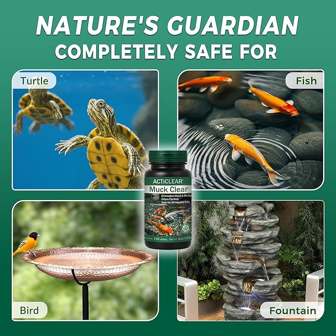 Muck Clear – Natural Pond Sludge Treatment, 4 LB for Ponds, Fountains & Bird Baths, Beneficial Bacteria & Enzymes, Chemical-Free & Safe for Fish, Pets & Wildlife