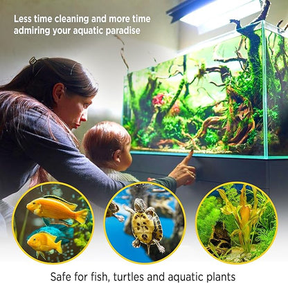 Magic Pond Rocks, Fish Tank Rocks for Enhancing Water Clarity with Your Regular Cleaning Routine, Fish Friendly Aquarium Rocks, All Natural Aquarium Decor, Small - Up to 750 Gallons