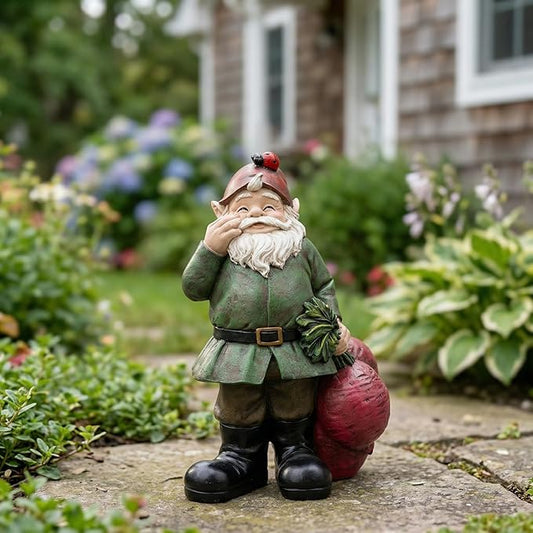 Topadorn Gnomes Figurine Resin Sculpture Garden Gnome Drag a Brunch of Radishes Statue with a Ladybug for Indoor Outdoor Decor, Radish Harvest 10 Inch, Weatherproof Garden Gnome Yard Statue Decor