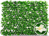 DOEWORKS Expandable Fence Privacy Screen for Balcony Patio Outdoor, Faux Ivy Fencing Panel for Backdrop Garden Backyard Home Decorations - 1PACK