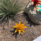 Mini Metal Agave (Yellow)